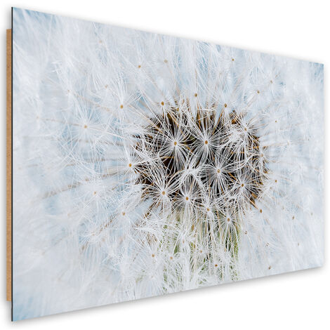 Quadro deco panel, Dandelion di fiori bianchi - 100x70