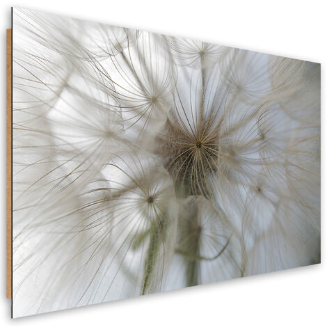 Quadro deco panel, Dente di leone su scala macro - 60x40