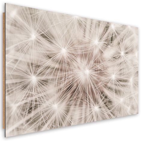 Quadro deco panel, Dentelione fiori natura macro - 60x40