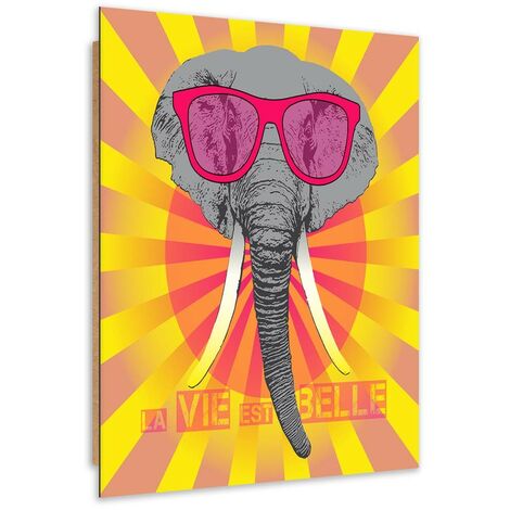 Quadro deco panel, Elefante con occhiali - 60x90