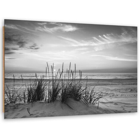 Quadro deco panel, Erbe sulla spiaggia - bianco e nero - 100x70
