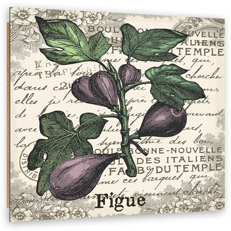 Quadro deco panel, Fichi vintage - 60x60
