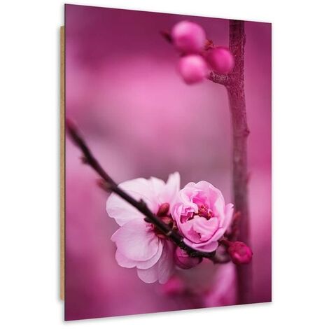 Quadro deco panel, Fiore rosa e boccioli su un ramo - 70x100