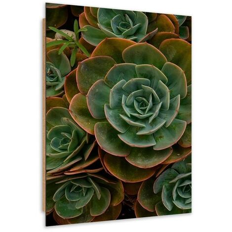 Quadro deco panel, Fiore verde succulento - 40x60