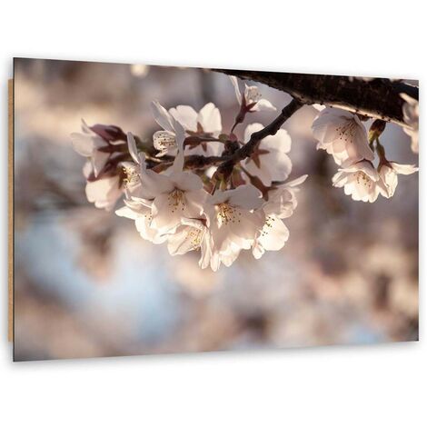 Quadro deco panel, Fiori di ciliegio - 60x40