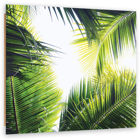 Quadro deco panel, foglie di palma - 40x40