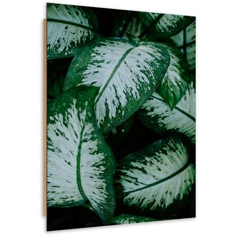 Quadro deco panel, Foglie tropicali bianche e verdi - 70x100