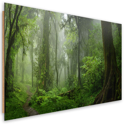 Quadro deco panel, Foresta della giungla tropicale - 100x70