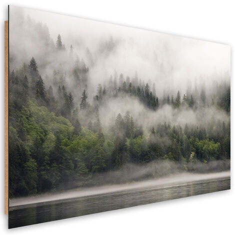 Quadro deco panel, Foresta nella nebbia - 120x80
