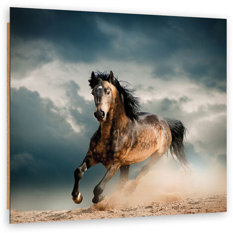 Quadro deco panel, Galoppo di cavallo - 30x30