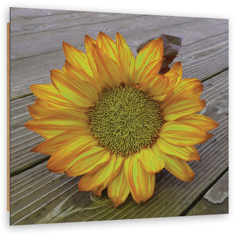 Quadro deco panel, Girasole giallo - 30x30