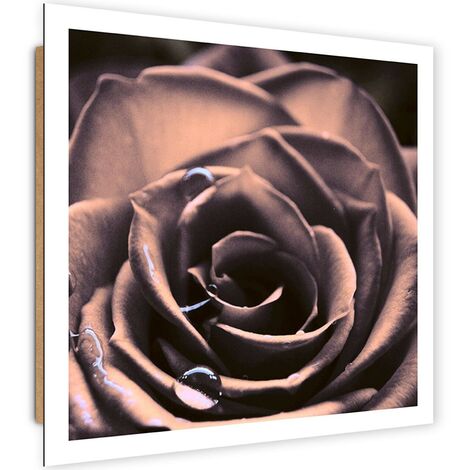 Quadro deco panel, Gocce d'acqua su una rosa - 30x30