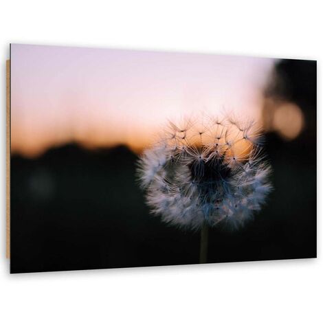 Quadro deco panel, Gonfiatore e tramonto - 100x70