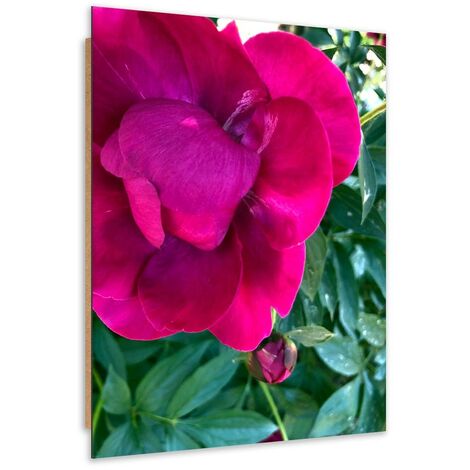 Quadro deco panel, Grande fiore rosa - 60x90