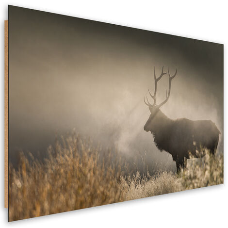 Quadro deco panel, JeleÅ„ nella natura nebbia - 90x60