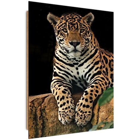 Quadro deco panel, Leopardo a riposo - 40x60