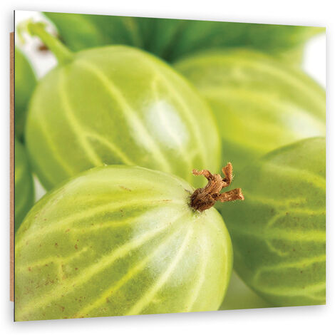 Quadro deco panel, Macroeatro - 60x60