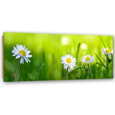 Quadro deco panel, Margherite nell'erba 1 pezzo - 150x50