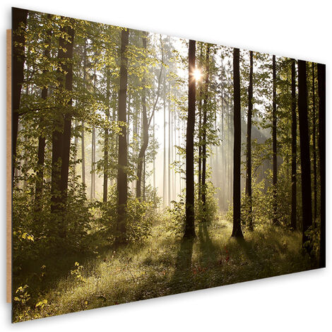 Quadro deco panel, Mattina nella foresta - 90x60