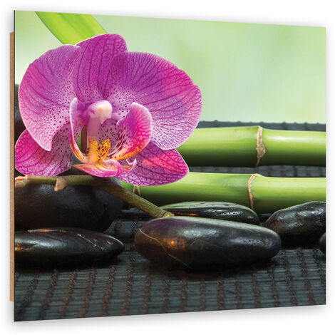 Quadro deco panel, Orchidea su pietre nere - 40x40