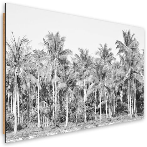 Quadro deco panel, Palme in bianco e nero nella giungla - 100x70