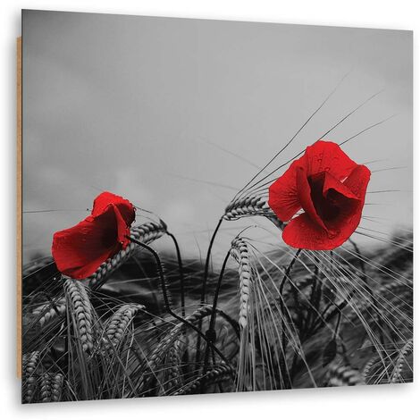Quadro deco panel, Papaveri rossi e grano - 30x30
