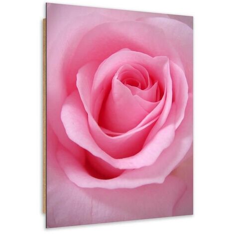 Quadro deco panel, Petali di rosa - 70x100