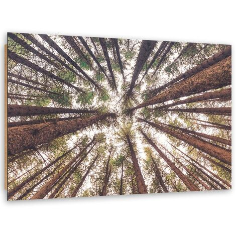 Quadro deco panel, Pini ad alto fusto - 90x60