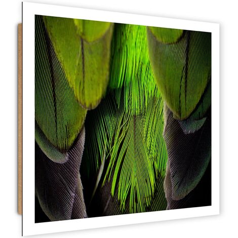 Quadro deco panel, Piume color lime - 40x40