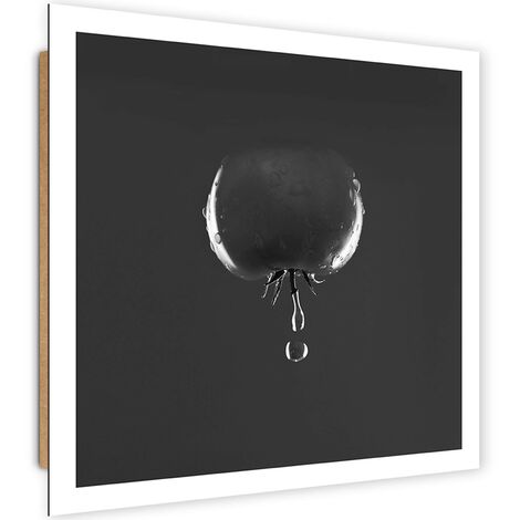 Quadro deco panel, Pomodoro e gocce d'acqua - bianco e nero - 40x40
