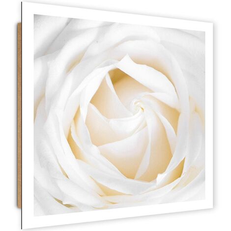 Quadro deco panel, Rosa delicata - 30x30