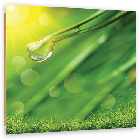 Quadro deco panel, Rugiada sull'erba - 40x40