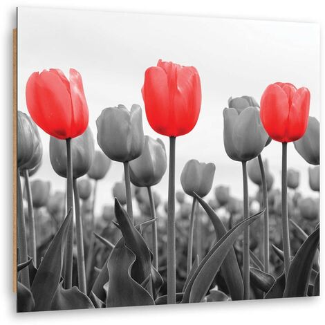 Quadro deco panel, Tulipani rossi nel prato - 30x30