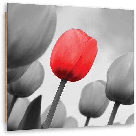 Quadro deco panel, Tulipano rosso in grigio - 60x60