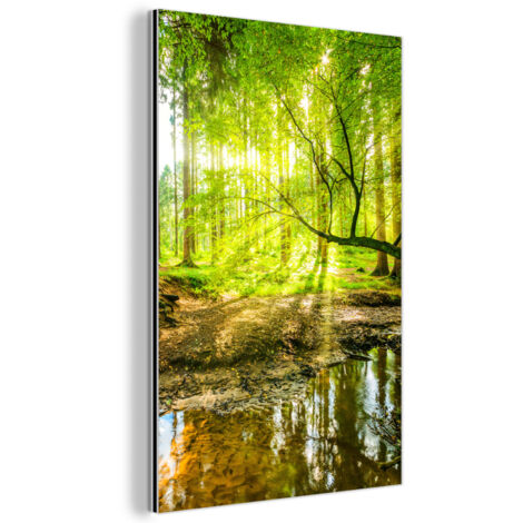 QUADRO DI METALLO Foresta - Paesaggio - Acqua - Alberi - Sole - Verde - Natura 40x60 cm