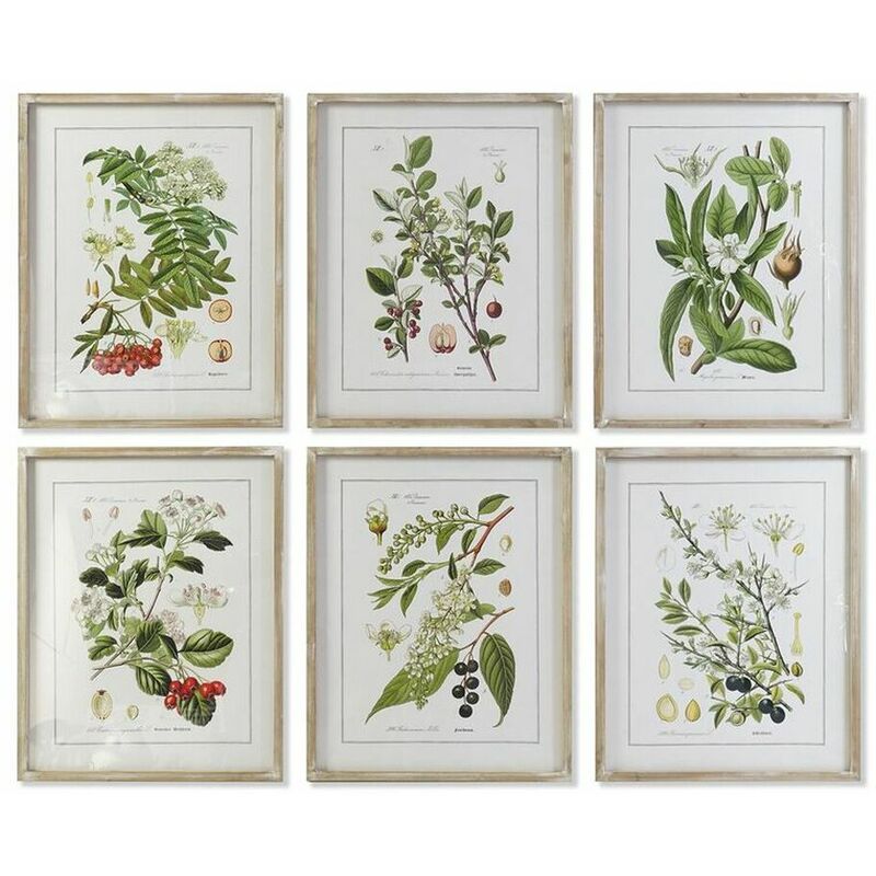 Quadro Dkd Home Decor 55 x 2 x 70 cm Shabby Chic