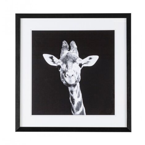 Quadro evidence 49 x 49, struttura in mdf, stampa su carta con vetro