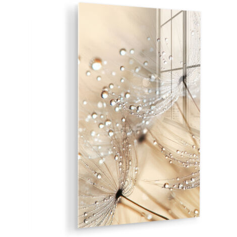 QUADRO IN PLEXIGLASS Dente di leone - Astratto - Natura - Beige 60x90 cm