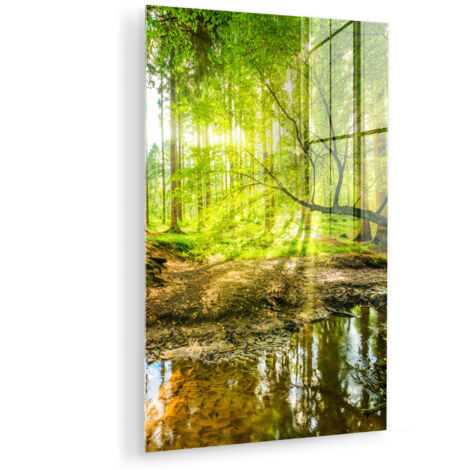 QUADRO IN PLEXIGLASS Foresta - Paesaggio - Acqua - Alberi - Sole - Verde - Natura 40x60 cm