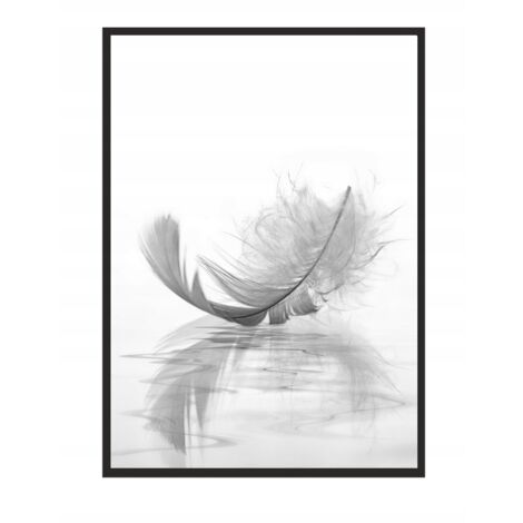 QUADRO, POSTER IN CORNICE 33x43 cm Feather P520