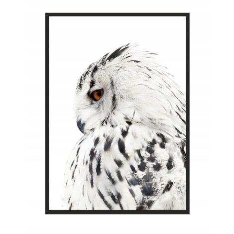 QUADRO, POSTER IN CORNICE 33x43 cm Gufo P508