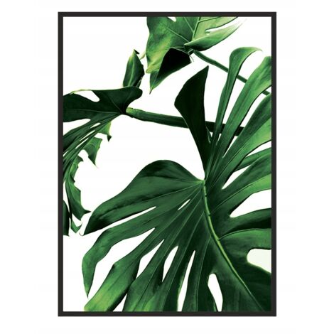 QUADRO, POSTER IN CORNICE 33x43 cm Monstera P842
