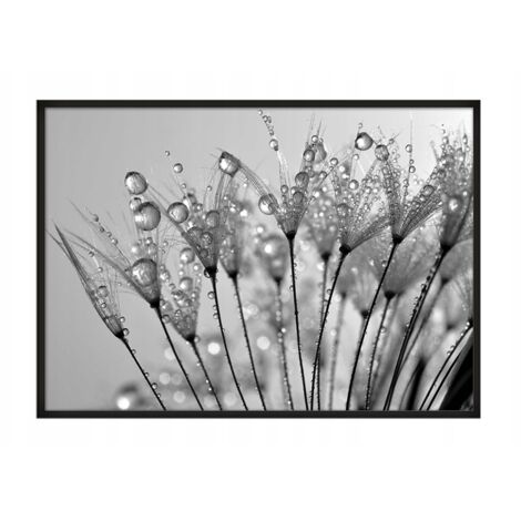 QUADRO POSTER IN CORNICE 43x33 cm Rosa P675