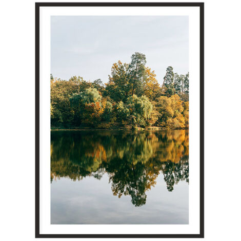 QUADRO, POSTER IN CORNICE 53x73 cm Forest P2012