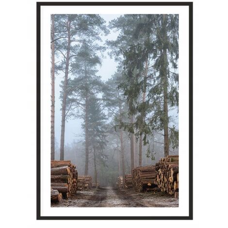 QUADRO, POSTER IN CORNICE 53x73 cm Forest P2015