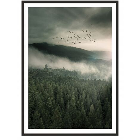 QUADRO, POSTER IN CORNICE 53x73 cm Montagne P2017