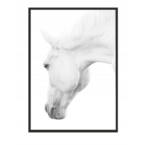 QUADRO, POSTER IN CORNICE 73x53 cm Cavallo P501