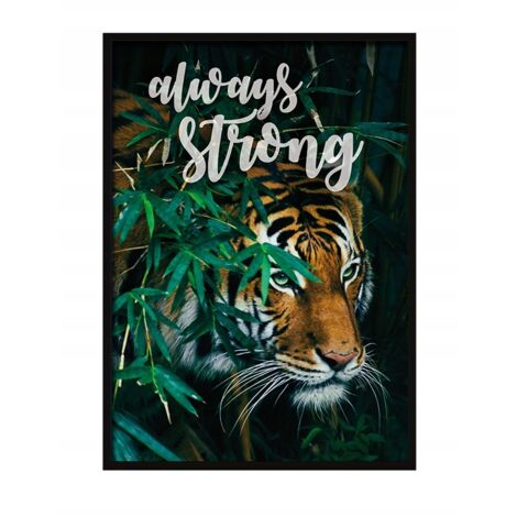 QUADRO, POSTER IN CORNICE 73x53 cm Tigre P527