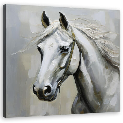 Quadro su tela, Animali cavallo bianco - 30x30