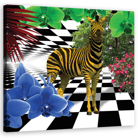Quadro su tela, Animali colorati di natura zebra - 60x60